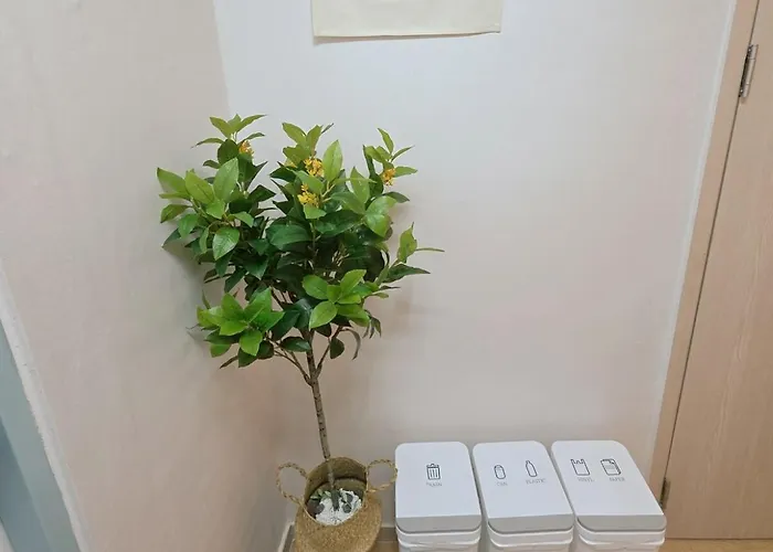 Juni Korea Univ Station 3min Apartamento
