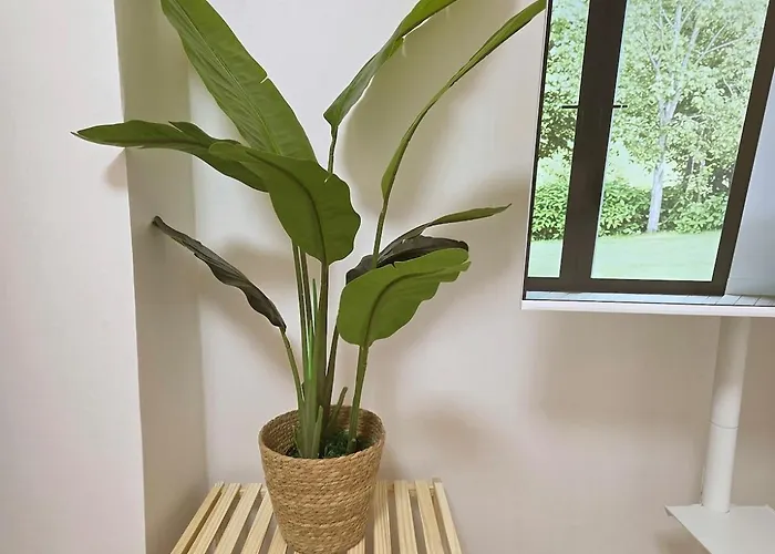 Juni Korea Univ Station 3min Apartamento